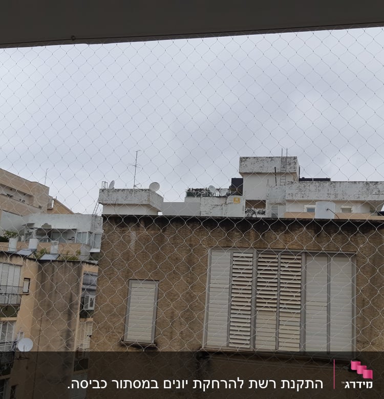 רשת הגנה נגד יונים על רקע בניינים